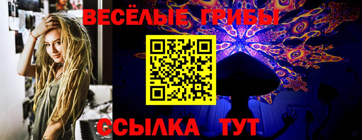 Псилоцибиновые грибы прущие грибы Темрюк