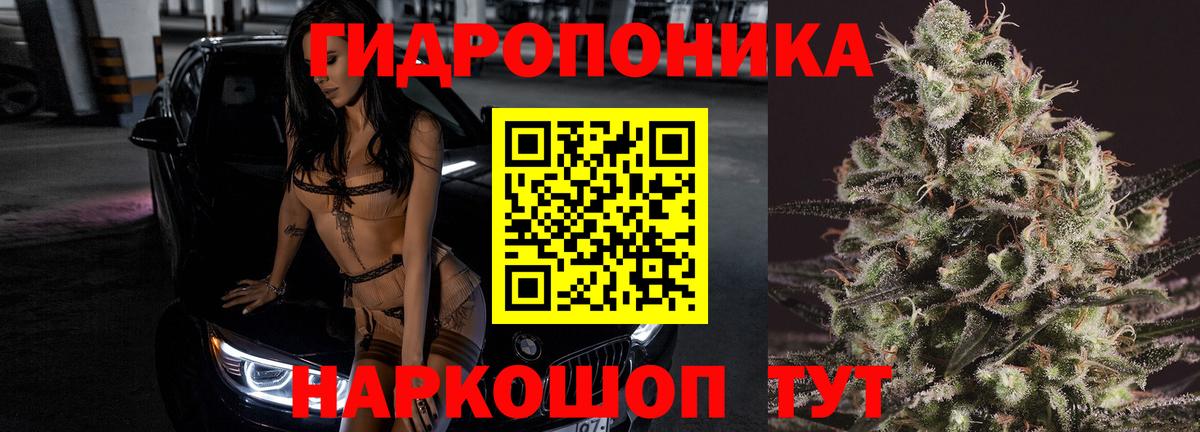 Темрюк  МАРИХУАНА Bruce Banner  Бошки Шишки семена  Каннабис OG Kush  Вход с VPN 